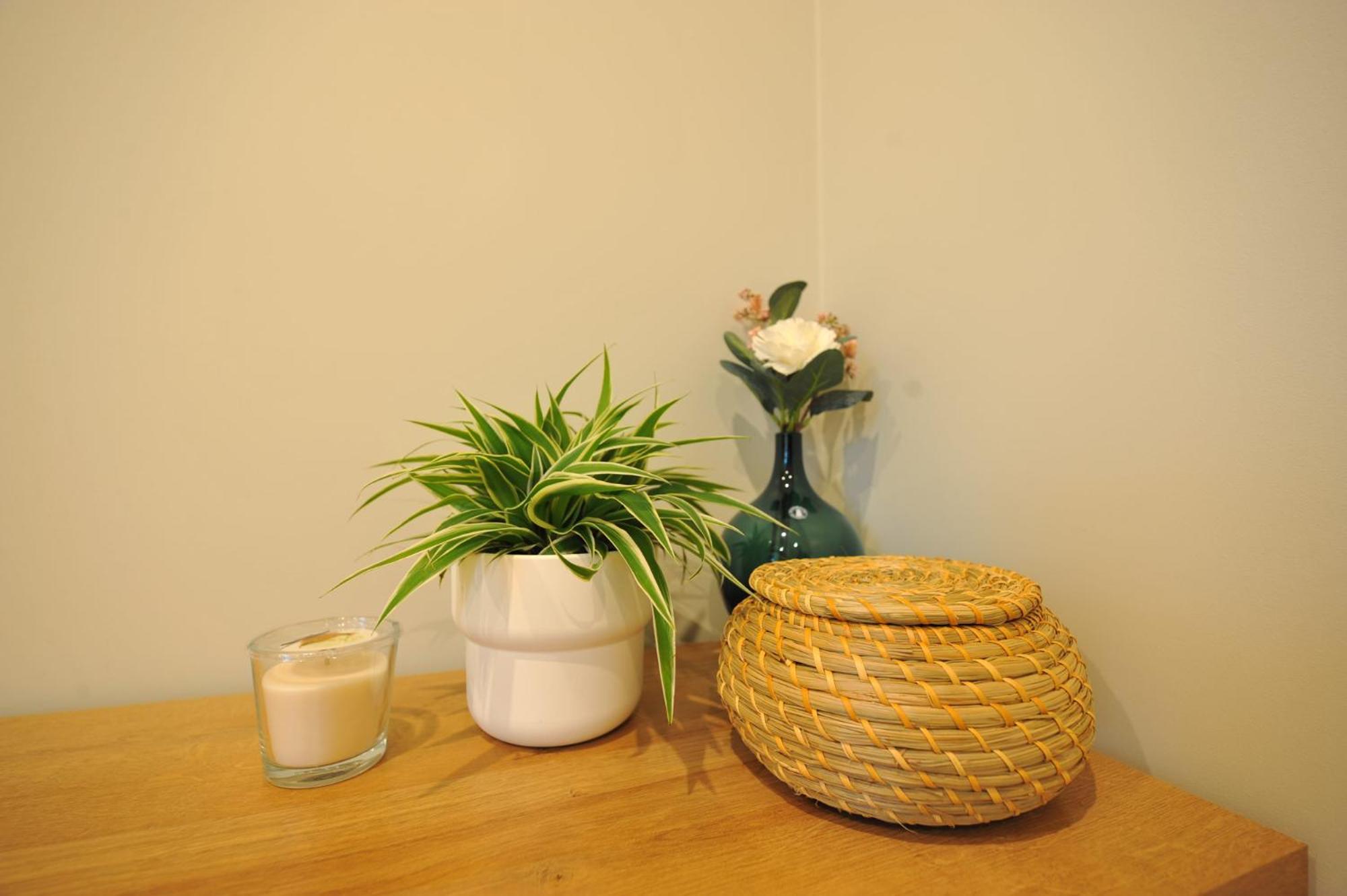 Central Comfort At Hanzas Residence, Stay Near Cafes, Bars, Museums & Esplanade Рига Номер фото